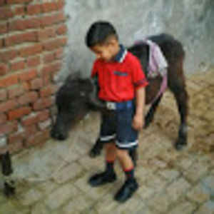 Meet your Posher, Rakesh